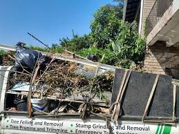 Best Yard Waste Removal  in Greenville, MS